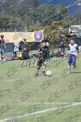 Foto de International United