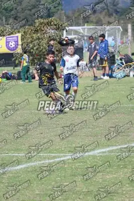 Foto de International United