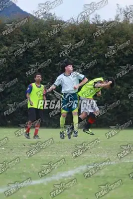 Foto de COMFENALCO
