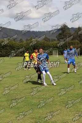 Foto de Dinastia