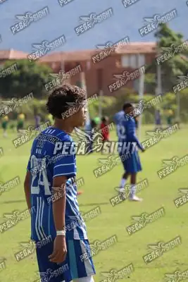Foto de Dinastia