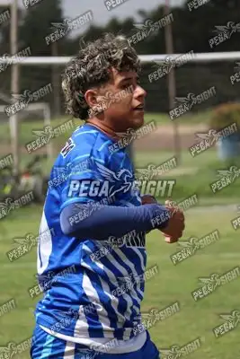 Foto de Dinastia