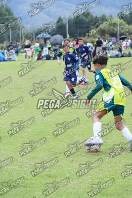 Foto de COMFENALCO