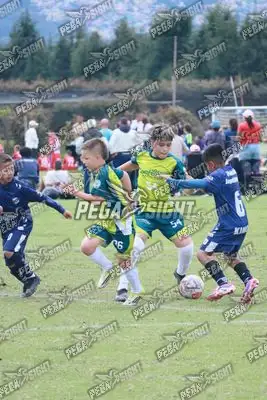 Foto de COMFENALCO