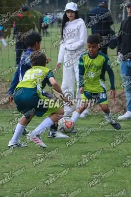 Foto de COMFENALCO