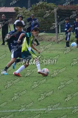 Foto de COMFENALCO