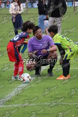 Foto de Búho Academia