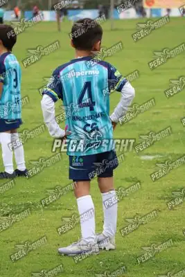 Foto de Búho Academia