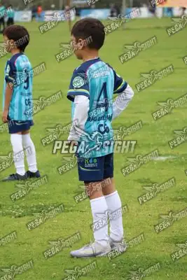 Foto de Búho Academia