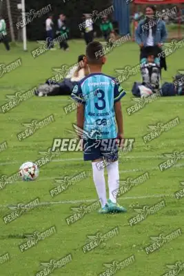 Foto de Búho Academia