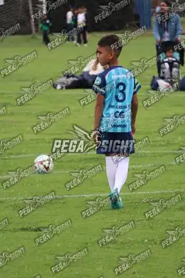 Foto de Búho Academia