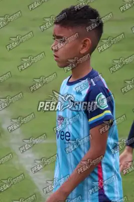 Foto de Búho Academia