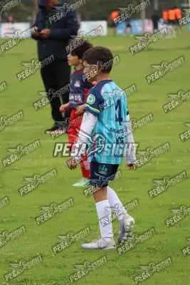 Foto de Búho Academia