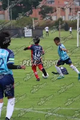Foto de Búho Academia