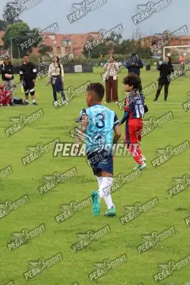 Foto de Búho Academia