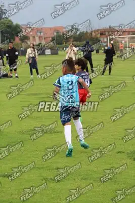 Foto de Búho Academia