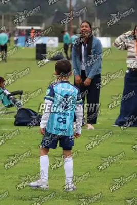 Foto de Búho Academia