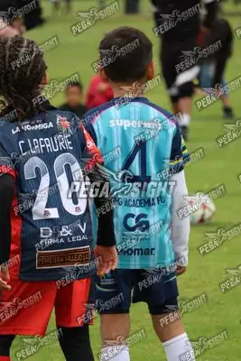 Foto de Búho Academia