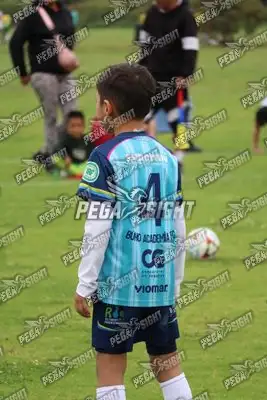 Foto de Búho Academia