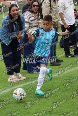 Foto de Búho Academia