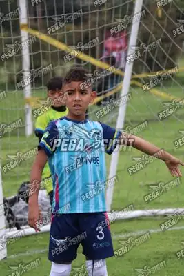 Foto de Búho Academia