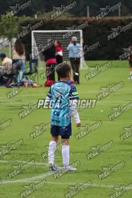 Foto de Búho Academia
