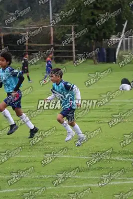 Foto de Búho Academia