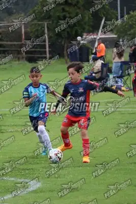 Foto de Búho Academia