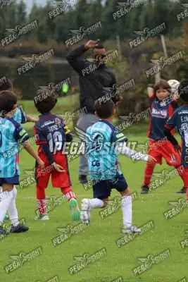 Foto de Búho Academia