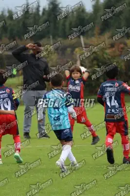 Foto de Búho Academia
