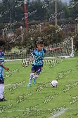 Foto de Búho Academia
