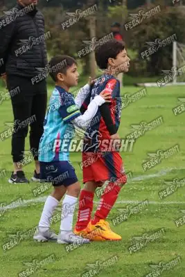 Foto de Búho Academia