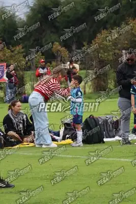 Foto de Búho Academia