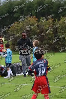 Foto de Búho Academia