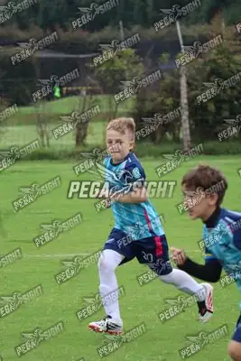 Foto de Búho Academia