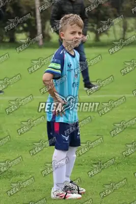 Foto de Búho Academia