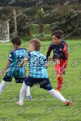 Foto de Búho Academia
