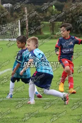 Foto de Búho Academia