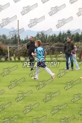 Foto de Búho Academia