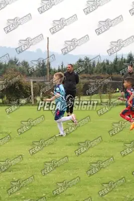 Foto de Búho Academia