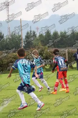 Foto de Búho Academia