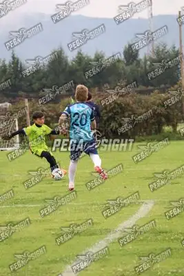 Foto de Búho Academia