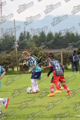 Foto de Búho Academia