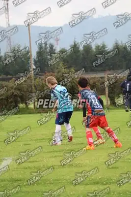Foto de Búho Academia