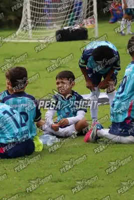 Foto de Búho Academia