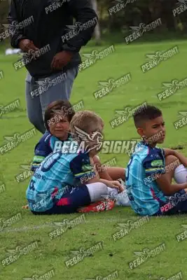 Foto de Búho Academia