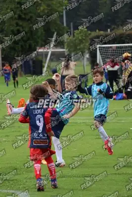 Foto de Búho Academia