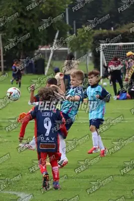Foto de Búho Academia
