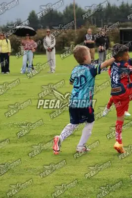 Foto de Búho Academia