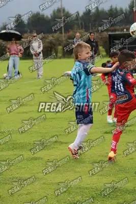 Foto de Búho Academia